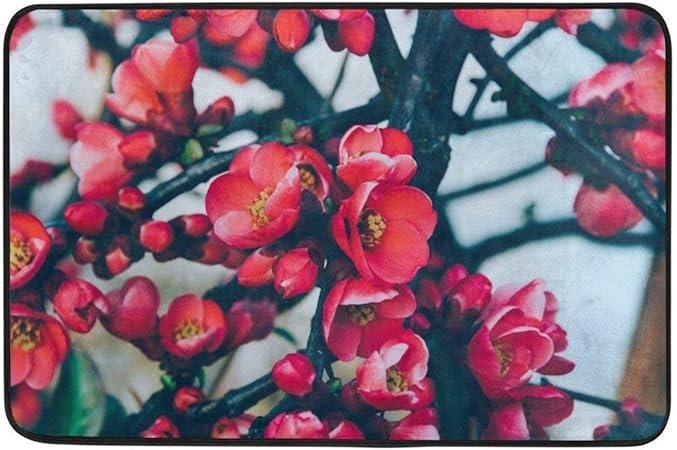 Jhonangel Alfombra Flores Ramas Blossom Felpudo Entrada Interior al