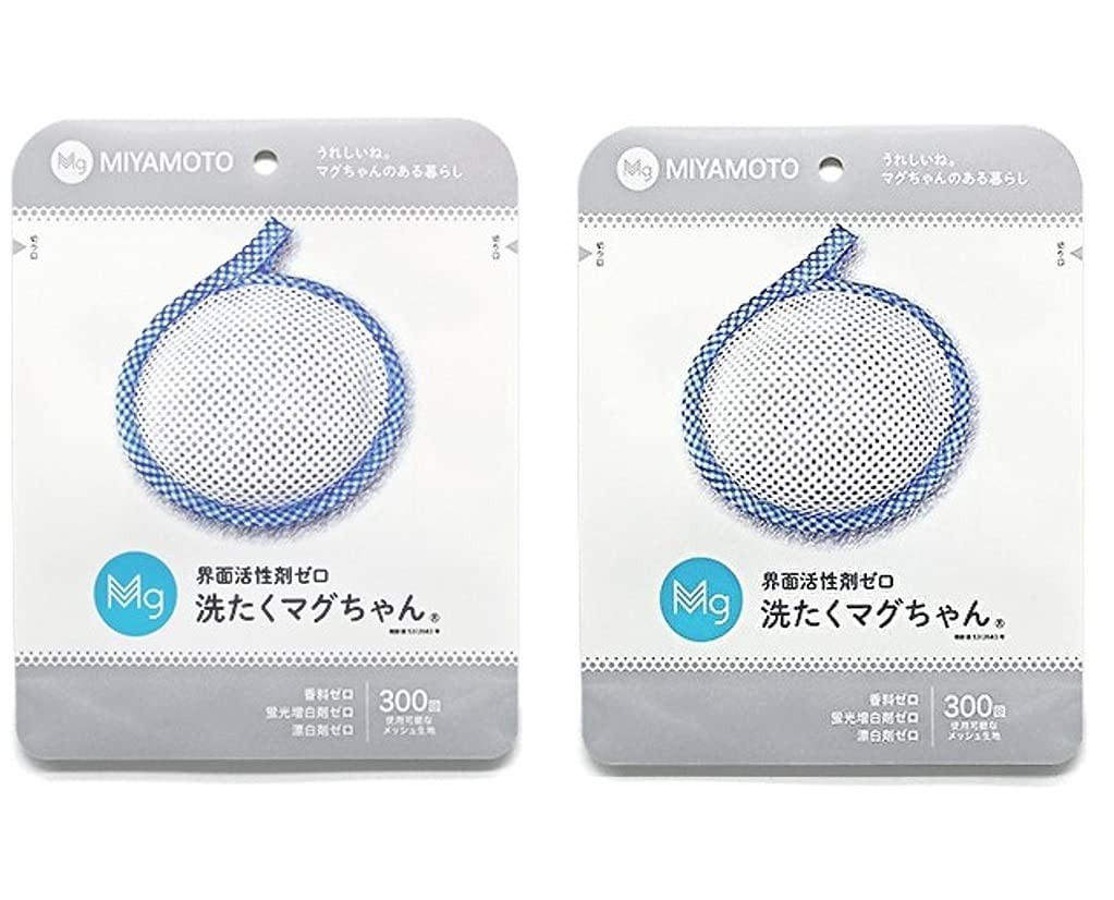 宮本製作所 洗濯マグちゃん ブルーの商品画像