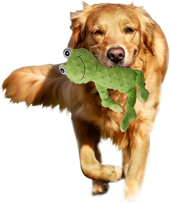 Ring Loose LLC Squeaky Dog Toy - Plush Frog for Puppy,Green