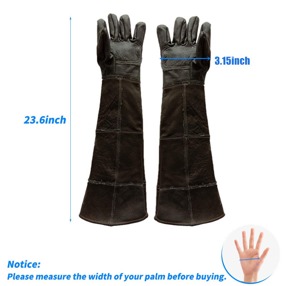 parrot training gloves