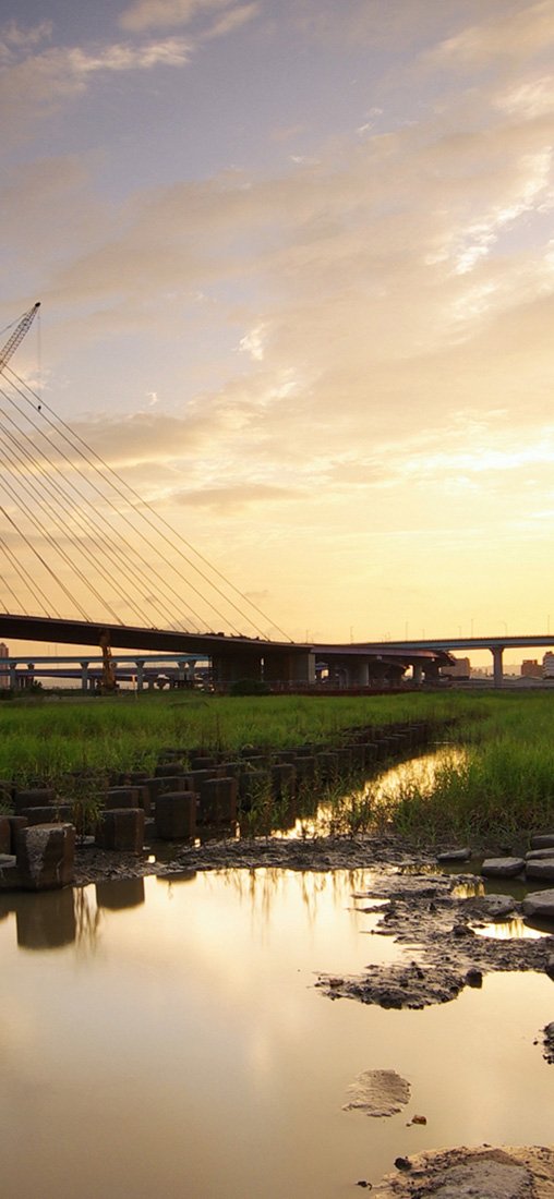 PeelitStickit, Beautiful Nature Wall Murals, ID-1244, vinyl