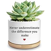 TEOUIOS Inspirational Ceramic Succulent Planter Pot with Bamboo Tray Perfect for Cactus Indoor Outdoor Decor Planter Gift for Plant Lovers Friends Home Office Garden Accessories