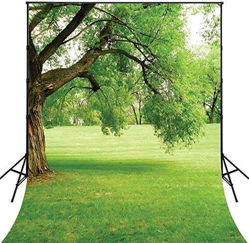 4X6ft Green Tree Photography Backdrop Forest Landscape lawn Backdrop D662