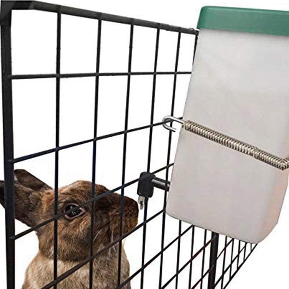 rabbit water fountain