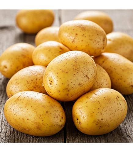 Amazon.com : Simply Seed™ - Russet Burbanks - Naturally Grown Seed