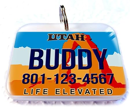 license plate pet tags