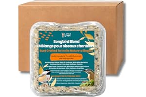 Chirp & Maple, Songbird’s Blend Suet for Wild Birds, Wild Bird Food (2.7KG (Pack of 9)