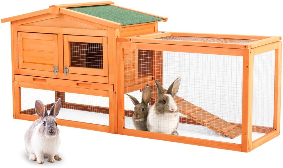 rabbit hutch animates