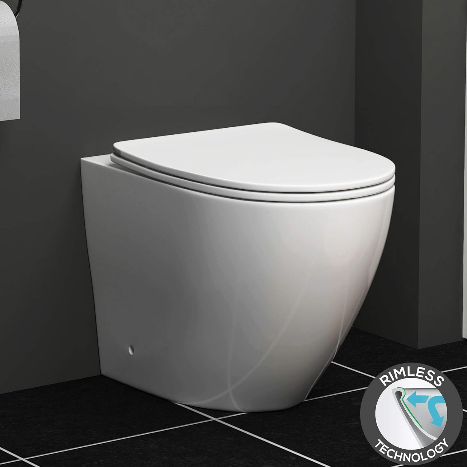 Top 5 Best Rimless Toilets in 2023 Express Plumbing & Gas