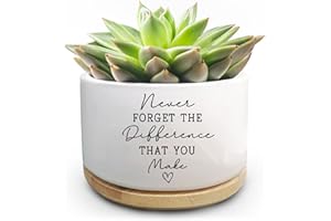 Jutasty Coworker Thank You Gifts, Funny Succulent Plant Pot, Flower Cactus Planter Gifts, Farewell Going Away Appreciation Inspirational Gifts for Women Men Boss Lady Manager Coworkers (No Plants)