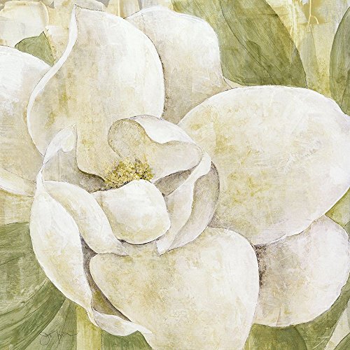 Magnolia Dolce Poster Print by Tava Studios (12 x 12)