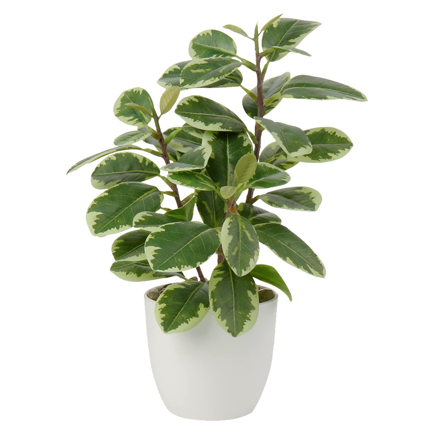 Oairse Artificial Plant Camellia 28cm Fake Plants in Pots Faux Camellia Plants with White Pots Fake Plant Potted Small Bonsai Tree for Home Bedroom Office Desk Kitchen Shelves Decoration