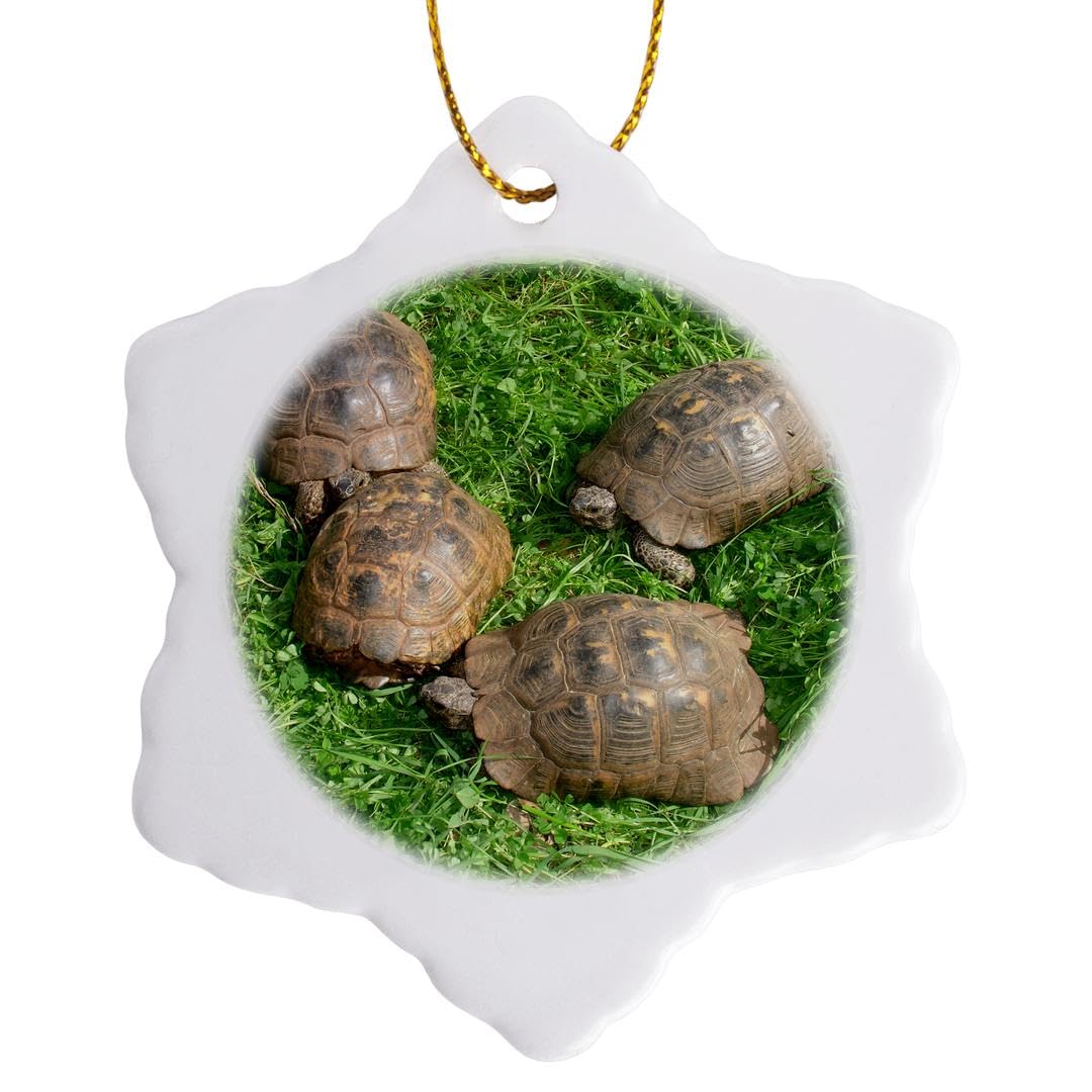 3dRose Turkish Tortoises Snowflake Ornament, Porcelain, Multi-Colour, 3-Inch