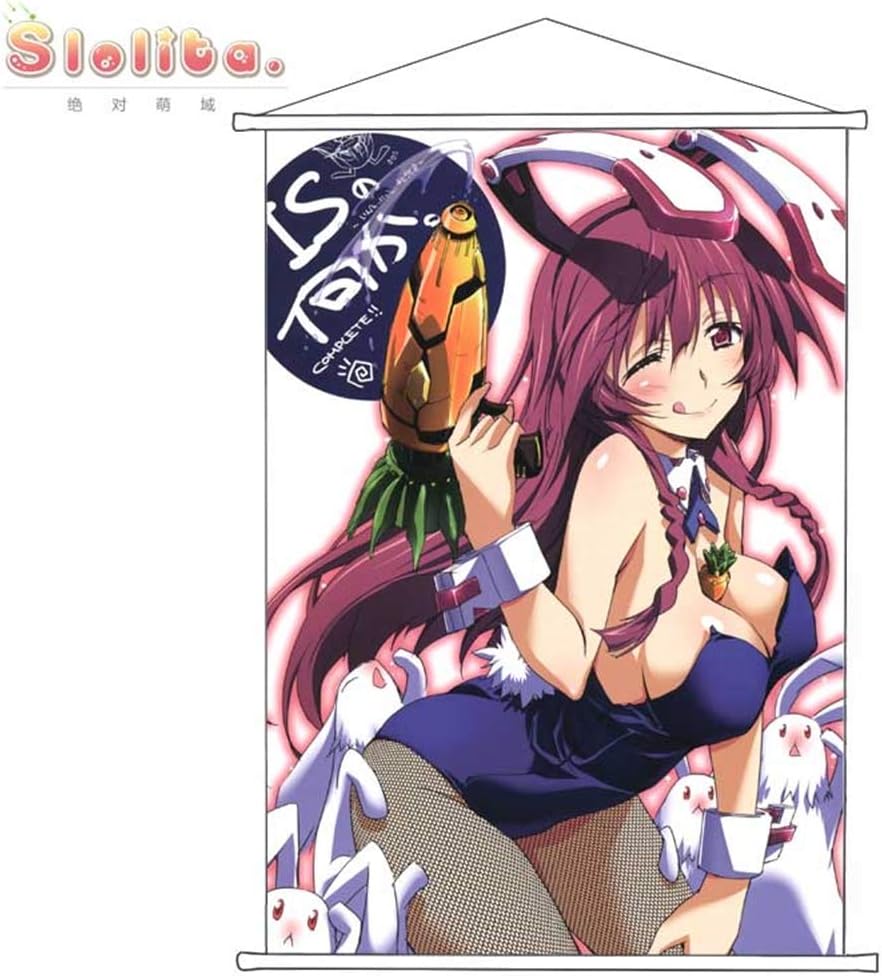 Slolita タペストリー インフィニット ストラトス Infinite Stratos Is 篠ノ之束 しののの たばね ポスター 掛ける絵 巻物 軸物 アニメ おしゃれ 萌え 100cmx70cm アニメ 萌えグッズ 通販 Amazon