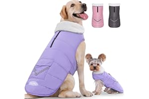 iBuddy Dog Winter Jackets with Fleece Vest,Waterproof Warm Dog Snow Jacket Windproof, Reflective Adjustable Pet Dogs Cold Winter Coat for Large Dogs Girl Boy