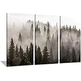 Natural Landscape Wall Art Paintings: Photographic Artworks Dark Tree line with Foggy Misty Forest Pine Print on Wrapped Canv