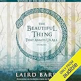 The Beautiful Thing That Awaits Us All: Stories by Laird Barron, Ray Porter