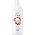 Biotera Anti Frizz Smoothing Shampoo | Smooths & Controls Frizzy, Unruly Hair | Microbiome Friendly | Vegan & Animal Test Free | Paraben Free | Color-Safe