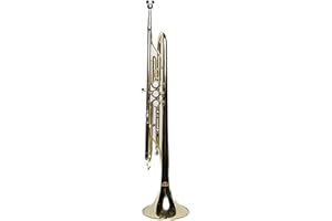 GKW MUSIC GKW Bb Standard Brass Trumpet for Beginner and Intermediate Players – Student Model with Rich Dark Tone, Easy to Play in High and Low Range, Includes Mouthpiece, Case, and Cleaning Accessories