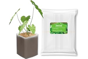 Vabiooth 100 Pcs Biodegradable Nursery Bags, 3.1 x 3.9 inches Thickened Grow Plant Bags for Vegetables Flower Seedling Starter Saplings Tree Container Bags