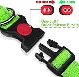 ATETEO Reflective Padded Dog Collar Medium 13-19.7 in Fluorescent Green view 4