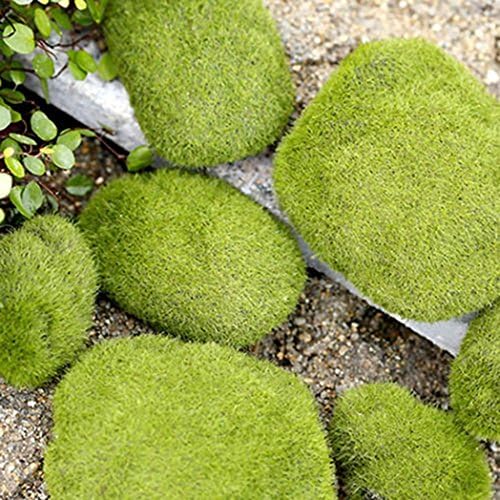 RYcoexs1 Pc Miniature Stone Moss Dollhouse Garden Craft Fairy Bonsai Plant Decor - S: 6 Cm