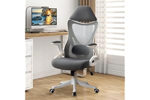 AIRDOWN Office Chair Ergonomic Office Desk Chair with Adjustable Lumbar Support and Flip-up Arms, High Back Mesh Swivel Executive Computer Task Chair, Grey