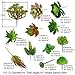 Greatflower 12 Different Kinds of Artificial Succulents for Plants Wall DIY Materials
