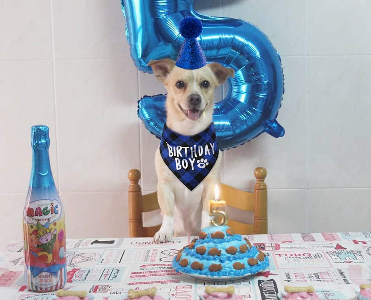 JPB Dog Birthday Party Supplies, Pet Birthday Hat and Boy Doggy Birthday Bandana Set : Pet Supplies