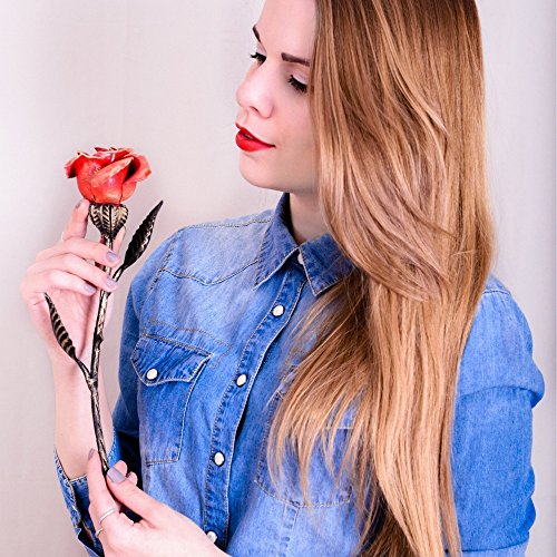 2 Hand+Forged+Iron+Rose+Anniversary