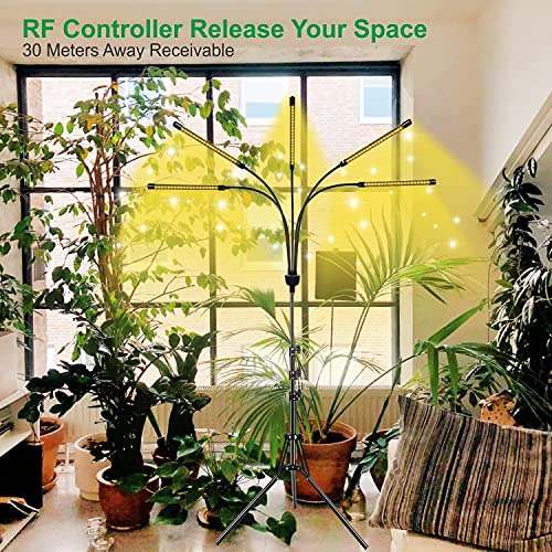yentbokj - 5 Heads Adjustable LED Lights, Full Spectrum Grow Lamp with Timer, Warm White Light for Indoor Plants