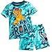Disney The Lion Guard PJ PALS Pajamas Short Set for Boys