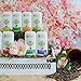 Stinkbug Naturals Lavender Deodorant Stick