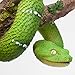 Bits and Pieces - Snake on a Branch Tree Hugger - Outdoor Home Décor Tree Statue - 11