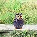 ASTRAEUS Animal Light Owl Decor Solar Led Owl Light for Park/Patio/Deck/Yard/Home/Pathway Light Purple