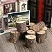 WOWOSS 30 Pcs Rustic Wood Place Card Holders Circular Table Numbers Holder Stand Wooden Bark Memo Holder Card Photo Picture Note Clip Holders for Wedding Party Table Number Sign
