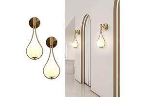 BOKT Globe Wall Sconce Modern Wall Lights Set of 2 Brushed Bathroom Scones Water Drop Wall Light Indoor Decor Lamp Vintage Fa
