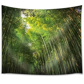 The Sky Illuminating a Bamboo Forest - Fabric Tapestry, Home Decor - 51x60 inches