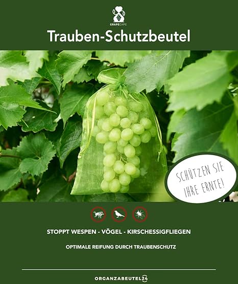 bolsas para uvas amazon