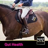 NAF Five Star GastriVet 4kg – Advanced Stomach Support for Horses view 7