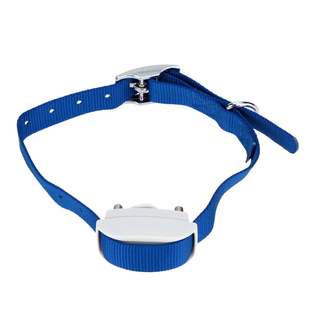 pets manager digital invisible fence