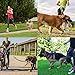 Hands-Free Dog Leash,Bungee Dog Running,Jogging,Hiking,Walking Leash,Reflective,Retractable Training Leash With Adjustable Waist Belt for All Sizes Dogs