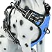 PoyPet No Pull Dog Harness, Reflective Vest Harness with Front & Back 2 Leash Attachments and Easy Control Handle for Small Medium Large Dog (Blue,Medium)