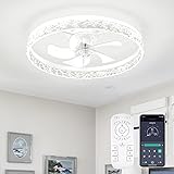 FTZVRD Ceiling Fans with Lights, 24 Inch Low