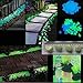 Glow Roxx - 100 Pcs (Blue) of Glow in the Dark Rocks Perfect Accent Pebbles for your Driveway, Pathway, Wedding Favors and Decorative Fairy Garden - As seen on Pinterest and Instagram …