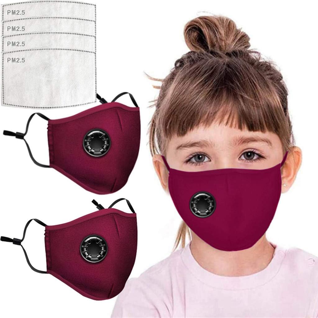 Face Bandanas with Air Filter Cotton Sheet Washable Reusable Face Health with Adjustable Straps (2pc+4PCFilter, Red)