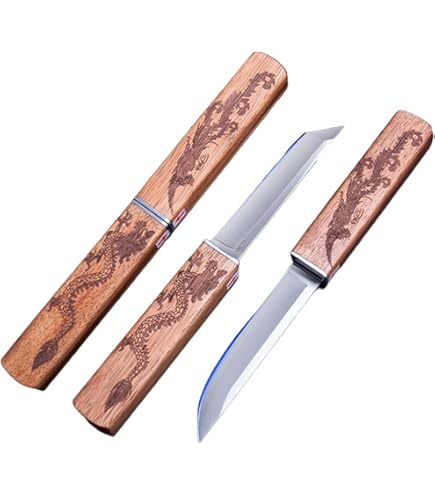 Amazon.com: Lancici 2 In 1 Steak Knive Set, Double Blades