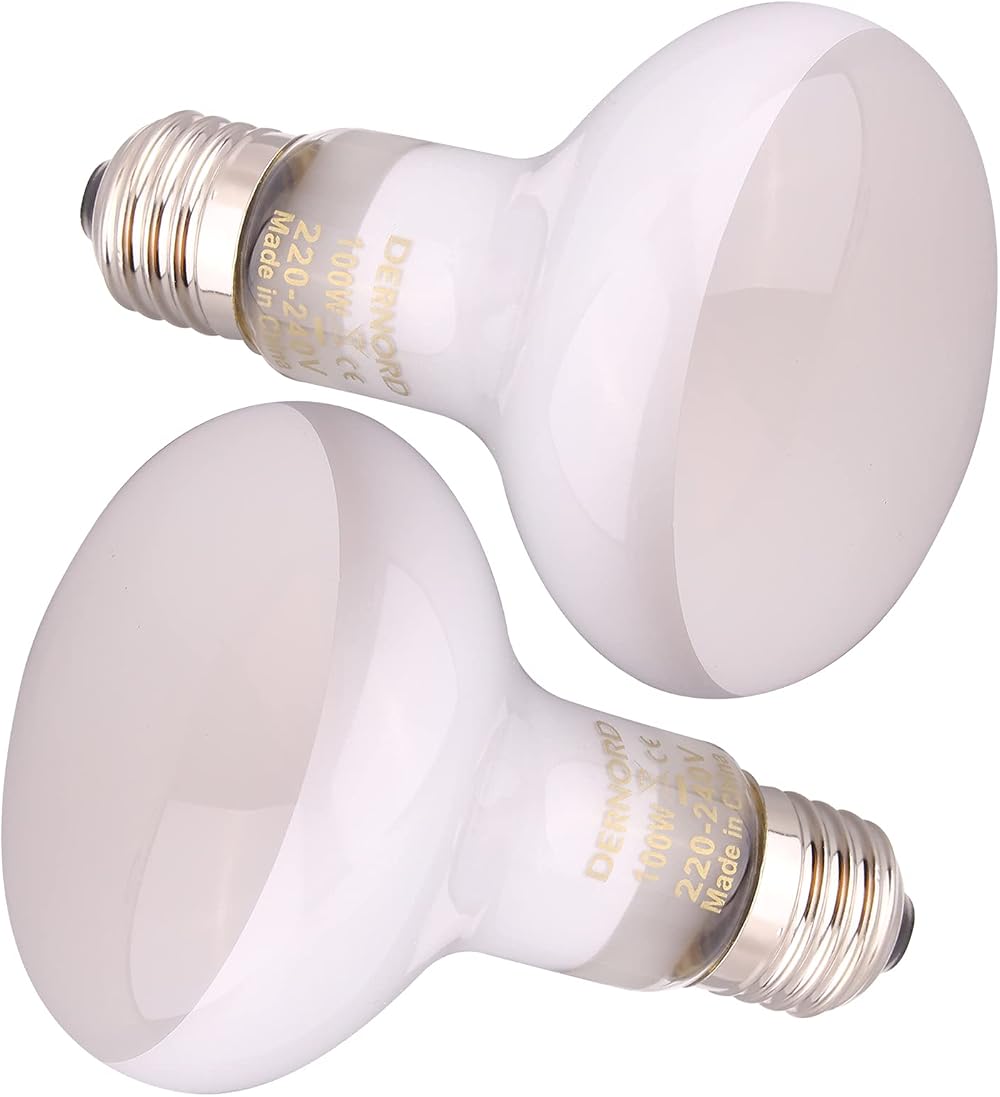 DERNORD 100W Reptile Heat Lamp E27 Build Pack 2 Daylight Bulbs Vivarium