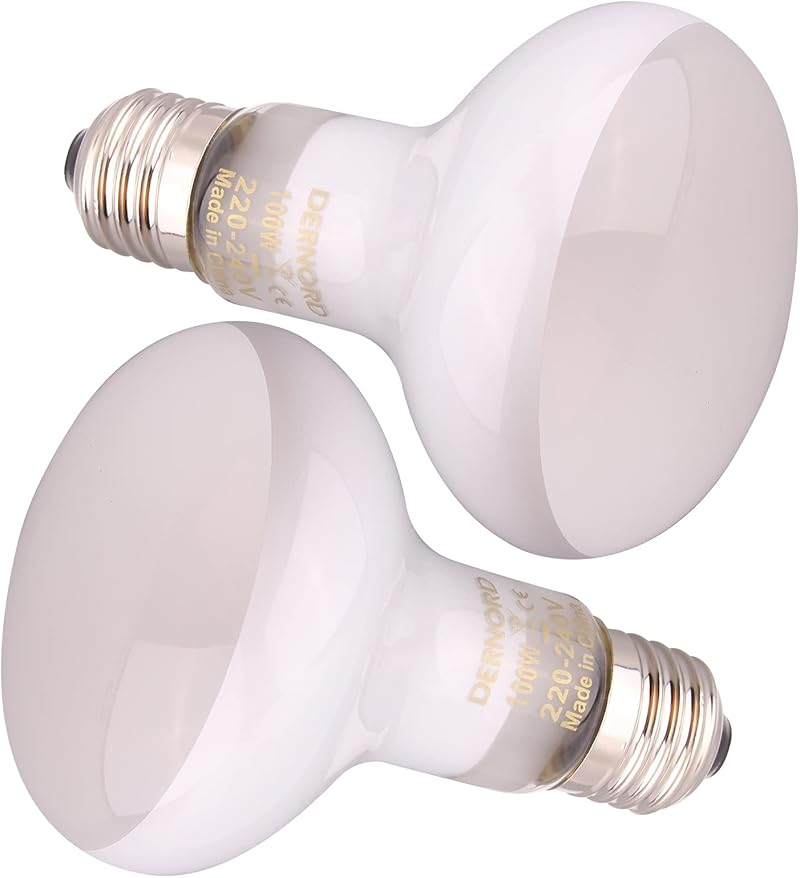 DERNORD 100W Reptile Heat Lamp E27 Build Pack 2 Daylight Bulbs Vivarium