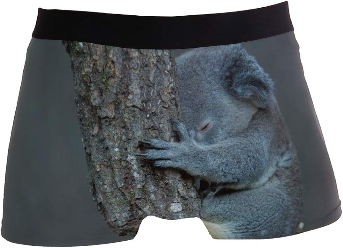 Cute Koala Tree Animal Phascolarctos Mens Boxer Briefs for Boy Youth